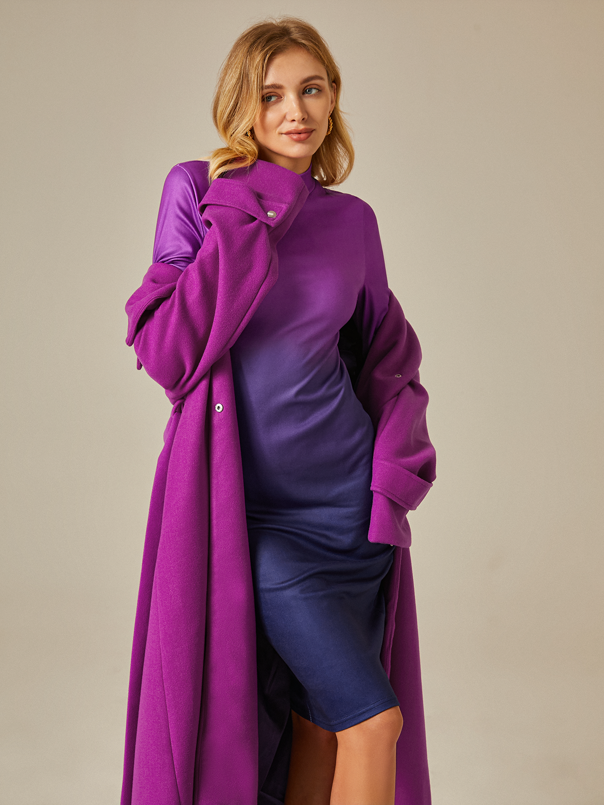 Elegant Rollkragen Farbverlauf  Regelmäßige Passform  Langarm Kleid