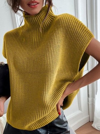 Unifarben Einfach Herbst Acryl Täglich Rollkragen Regelmäßig Regelmäßig Regelmäßig Größe Pullover für Damen